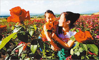2013年,京郊110個農田休閑觀光點吸引市民680萬人,帶動旅游收入達2.