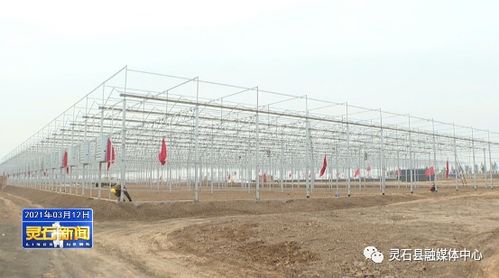 靈石縣鑫奧特農業綜合開發項目建設快速有序推進